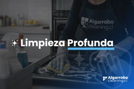 Limpieza Profunda